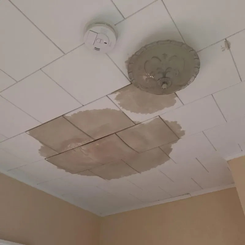 Ceiling Water Damage Repair in Ossun, LA